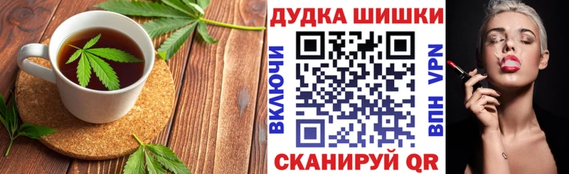 Купить где  Назрань  Canna-Cookies конопля 