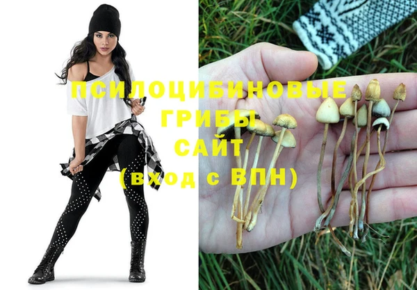 a pvp Красноперекопск