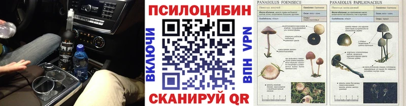 Псилоцибиновые грибы прущие грибы  Купить  Назрань 